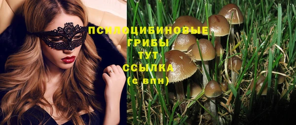 твердый Алексеевка