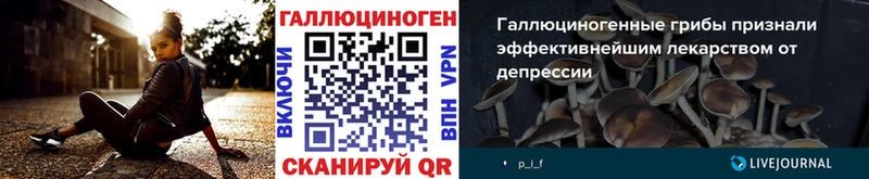наркотики  Трубчевск  мориарти Telegram  Псилоцибиновые грибы GOLDEN TEACHER 